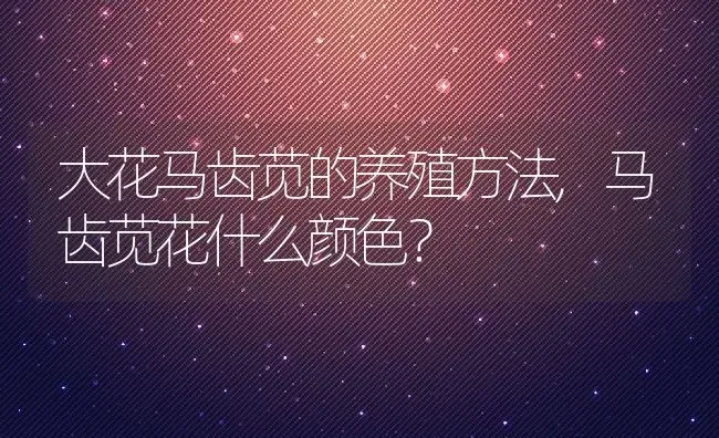 大花马齿苋的养殖方法,马齿苋花什么颜色？ | 养殖科普