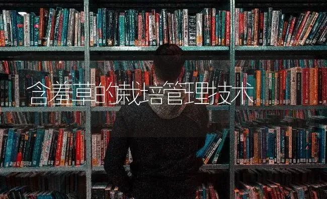 含羞草的栽培管理技术 | 养殖技术大全