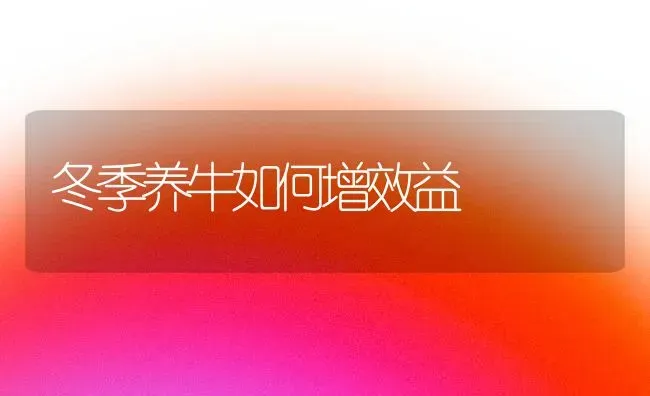 冬季养牛如何增效益 | 养殖技术大全