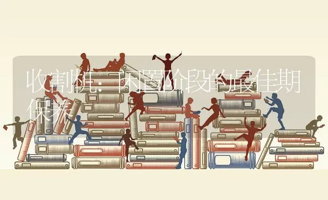 收割机：闲置阶段的最佳期保养 | 养殖技术大全