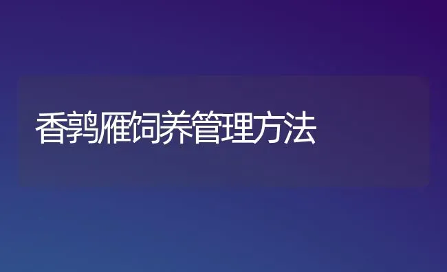 香鹑雁饲养管理方法 | 养殖技术大全