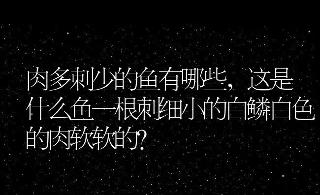 肉多刺少的鱼有哪些,这是什么鱼一根刺细小的白鳞白色的肉软软的？ | 养殖科普