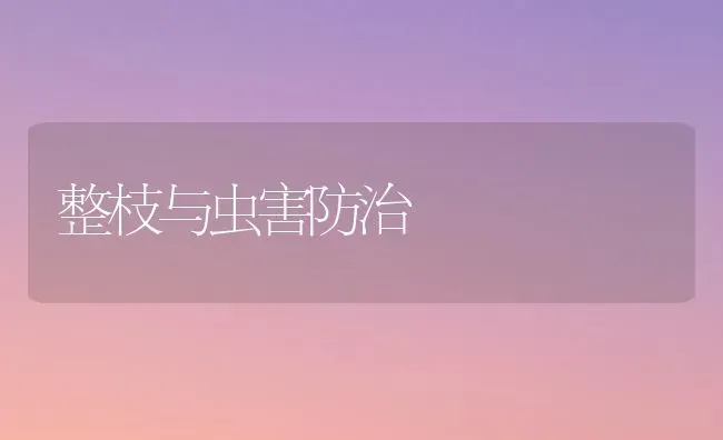 整枝与虫害防治 | 养殖技术大全