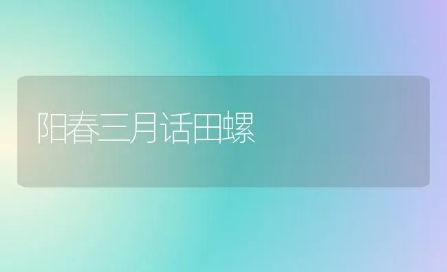 阳春三月话田螺 | 养殖技术大全