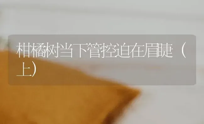 柑橘树当下管控迫在眉睫(上) | 养殖技术大全