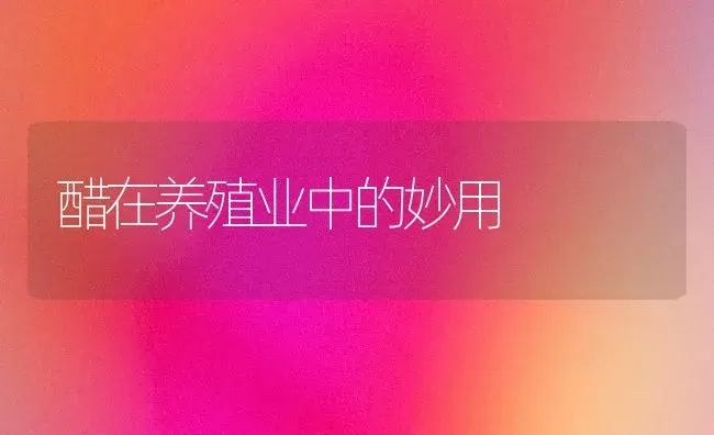 醋在养殖业中的妙用 | 养殖技术大全