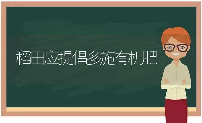 稻田应提倡多施有机肥 | 养殖知识