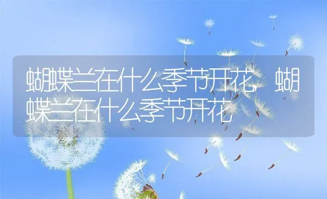 蝴蝶兰在什么季节开花,蝴蝶兰在什么季节开花 | 养殖科普