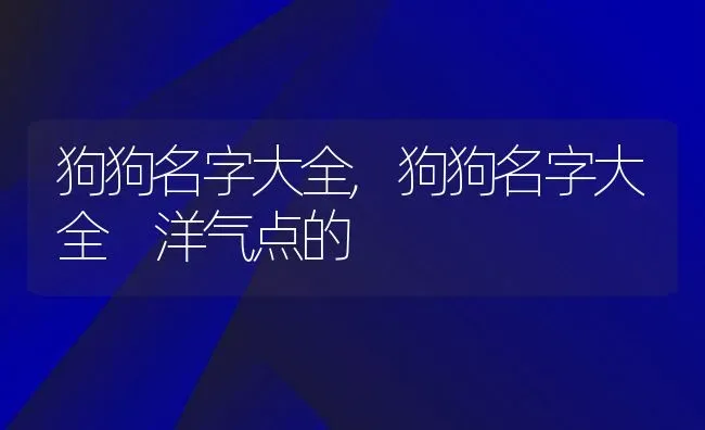 狗狗名字大全,狗狗名字大全 洋气点的 | 养殖资料