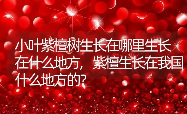 小叶紫檀树生长在哪里生长在什么地方,紫檀生长在我国什么地方的？ | 养殖科普