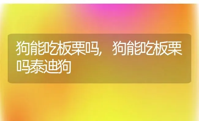 狗能吃板栗吗,狗能吃板栗吗泰迪狗 | 养殖科普