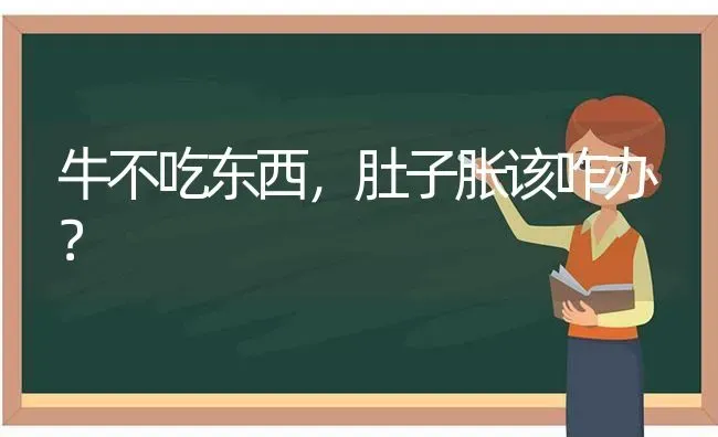 牛不吃东西,肚子胀该咋办? | 养殖技术大全