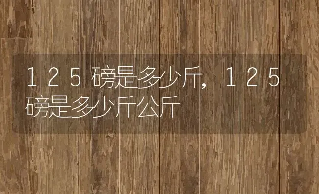 125磅是多少斤,125磅是多少斤公斤 | 养殖资料