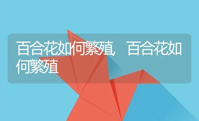 百合花如何繁殖,百合花如何繁殖 | 养殖科普