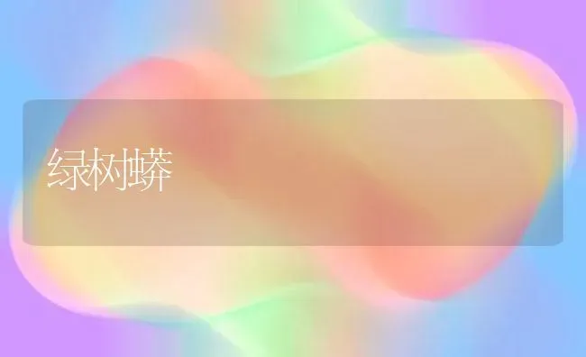 绿树蟒 | 养殖技术大全