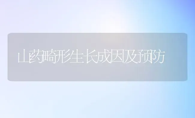 山药畸形生长成因及预防 | 养殖知识