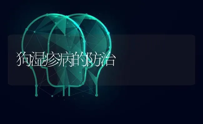 狗湿疹病的防治 | 养殖知识