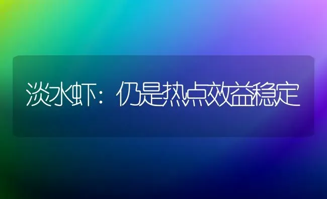 淡水虾：仍是热点效益稳定 | 养殖技术大全