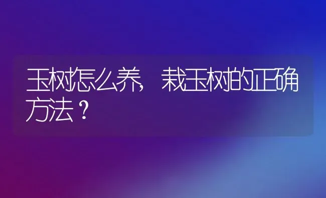 玉树怎么养,栽玉树的正确方法？ | 养殖学堂