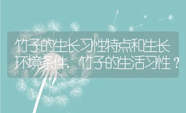 竹子的生长习性特点和生长环境条件,竹子的生活习性？ | 养殖科普