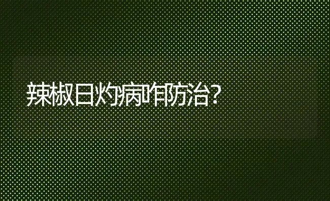 辣椒日灼病咋防治? | 养殖技术大全