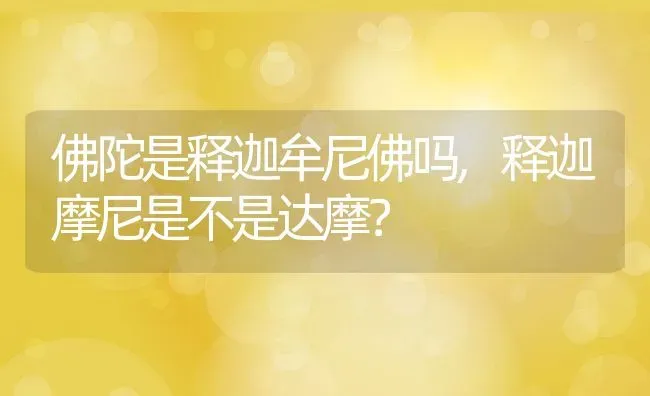 佛陀是释迦牟尼佛吗,释迦摩尼是不是达摩？ | 养殖科普