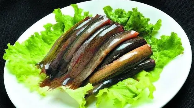 泥鳅死了还能吃吗，有没有危害？ | 农广天地