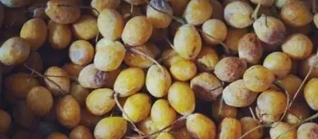 银杏树的果实怎么吃怎么处理才能食用,银杏树果子能吃吗？