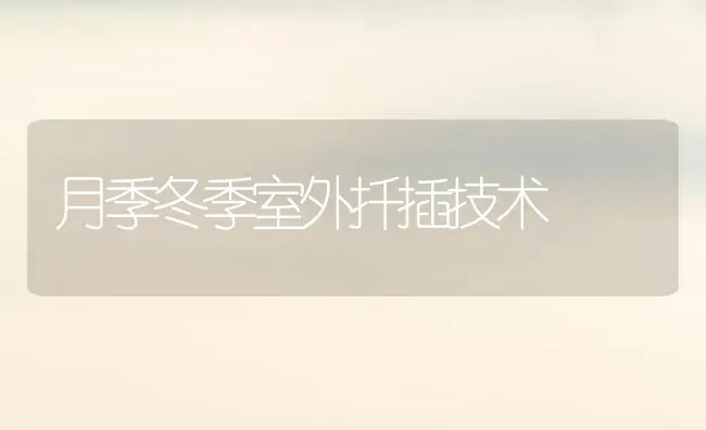 月季冬季室外扦插技术 | 养殖知识