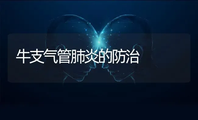 牛支气管肺炎的防治 | 养殖技术大全