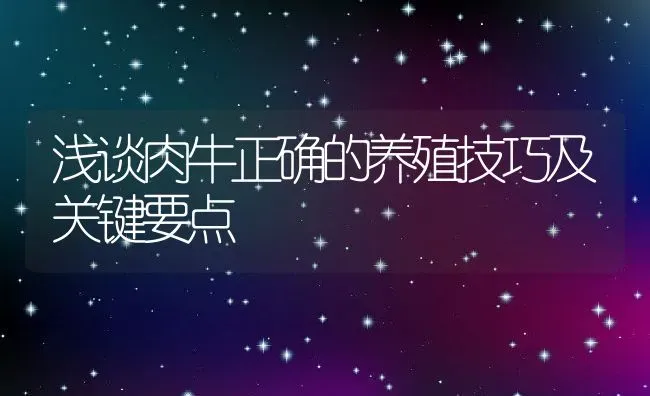 浅谈肉牛正确的养殖技巧及关键要点 | 养殖学堂