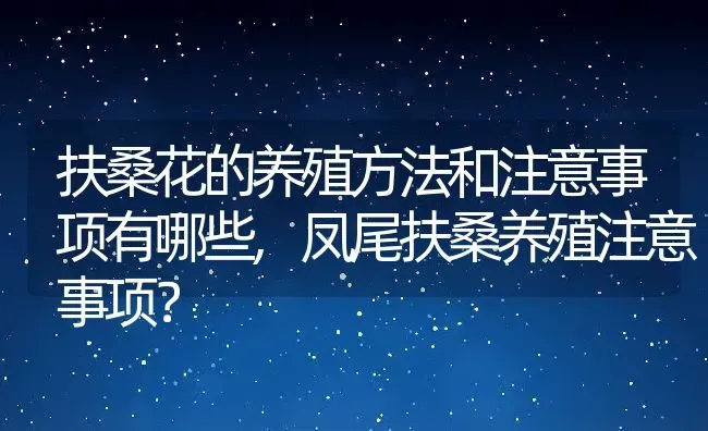 扶桑花的养殖方法和注意事项有哪些,凤尾扶桑养殖注意事项？ | 养殖科普