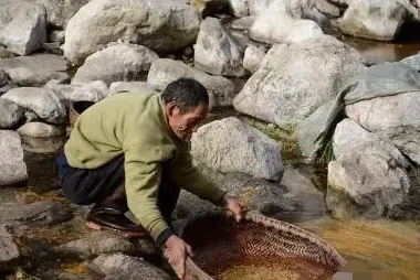 银杏树的果实怎么吃怎么处理才能食用,银杏树果子能吃吗？