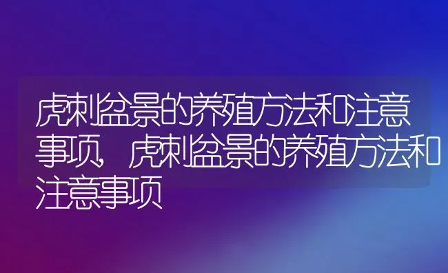 虎刺盆景的养殖方法和注意事项,虎刺盆景的养殖方法和注意事项 | 养殖学堂