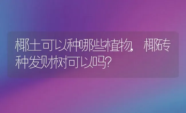 椰土可以种哪些植物,椰砖种发财树可以吗？ | 养殖科普