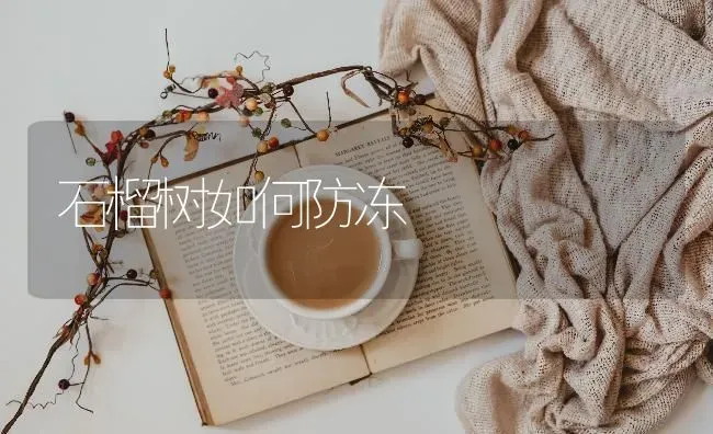 石榴树如何防冻 | 养殖技术大全