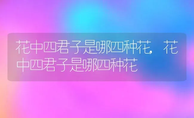 花中四君子是哪四种花,花中四君子是哪四种花 | 养殖科普