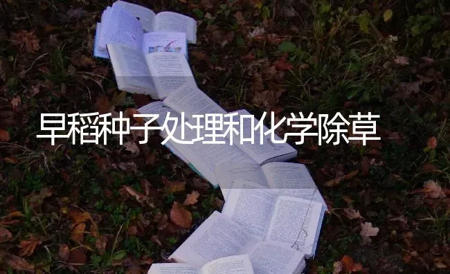 早稻种子处理和化学除草 | 养殖知识