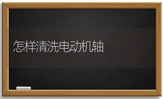 怎样清洗电动机轴 | 养殖知识