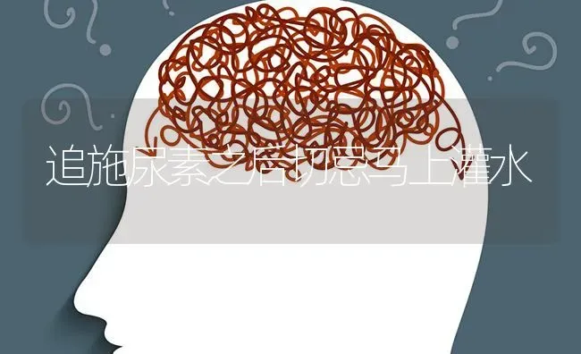 追施尿素之后切忌马上灌水 | 养殖技术大全