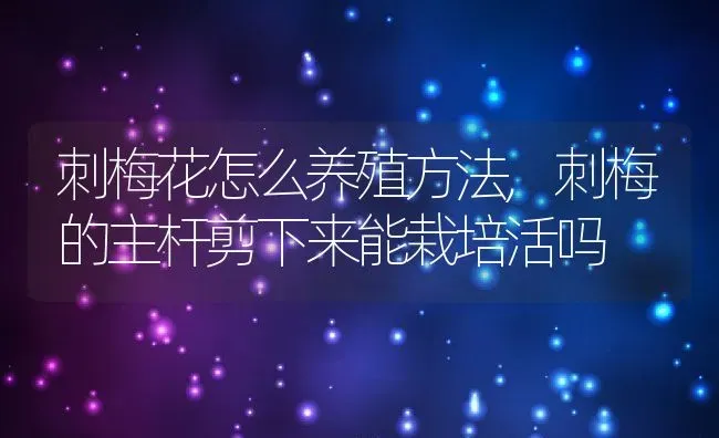 刺梅花怎么养殖方法,刺梅的主杆剪下来能栽培活吗 | 养殖学堂