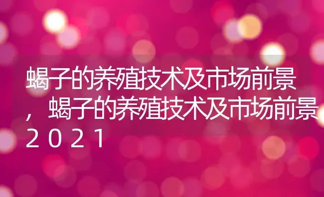 蝎子的养殖技术及市场前景,蝎子的养殖技术及市场前景2021 | 养殖科普