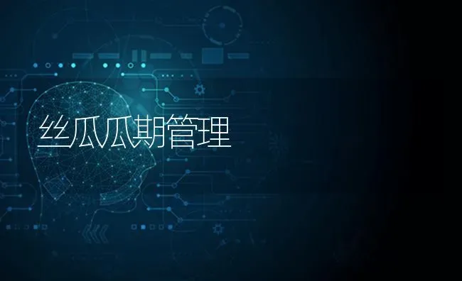 丝瓜瓜期管理 | 养殖技术大全