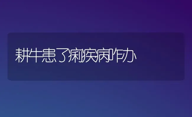 耕牛患了痢疾病咋办 | 养殖技术大全