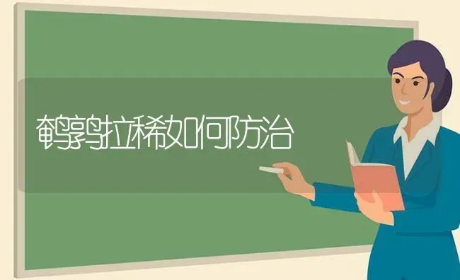 鹌鹑拉稀如何防治 | 养殖技术大全