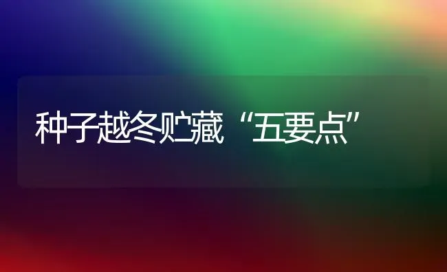 种子越冬贮藏“五要点” | 养殖技术大全