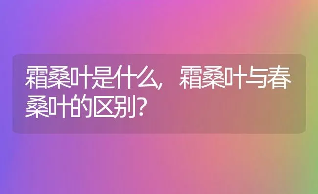 霜桑叶是什么,霜桑叶与春桑叶的区别？ | 养殖科普