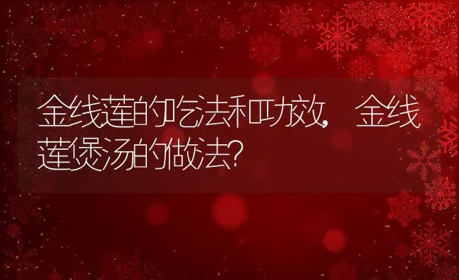 金线莲的吃法和功效,金线莲煲汤的做法？ | 养殖科普