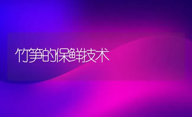 竹笋的保鲜技术 | 养殖技术大全