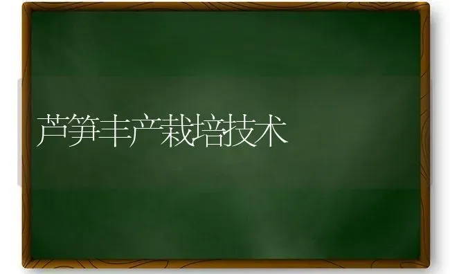 芦笋丰产栽培技术 | 养殖知识